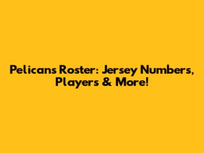 Pelicans Roster: Jersey Numbers, Players & More!