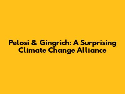 Pelosi & Gingrich: A Surprising Climate Change Alliance