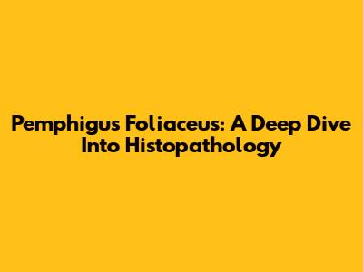 Pemphigus Foliaceus: A Deep Dive Into Histopathology