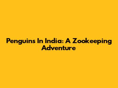 Penguins In India: A Zookeeping Adventure