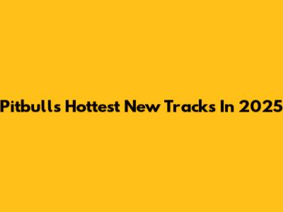 Pitbull's Hottest New Tracks In 2025