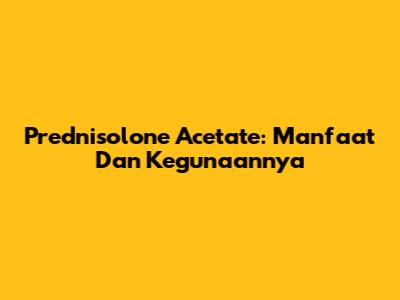 Prednisolone Acetate: Manfaat Dan Kegunaannya