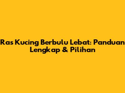 Ras Kucing Berbulu Lebat: Panduan Lengkap & Pilihan