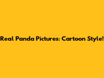 Real Panda Pictures: Cartoon Style!