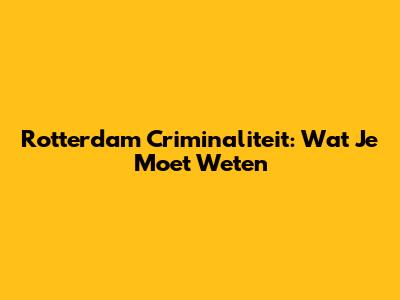 Rotterdam Criminaliteit: Wat Je Moet Weten