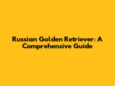 Russian Golden Retriever: A Comprehensive Guide