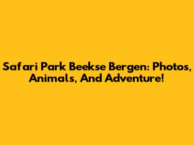 Safari Park Beekse Bergen: Photos, Animals, And Adventure!