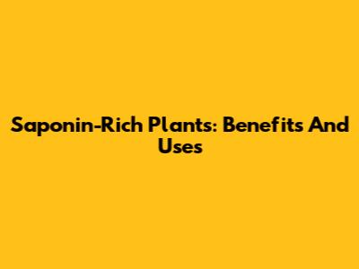 Saponin-Rich Plants: Benefits And Uses