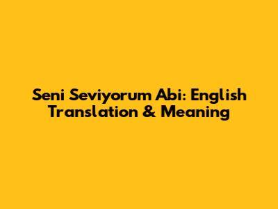 Seni Seviyorum Abi: English Translation & Meaning