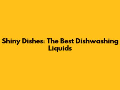 Shiny Dishes: The Best Dishwashing Liquids