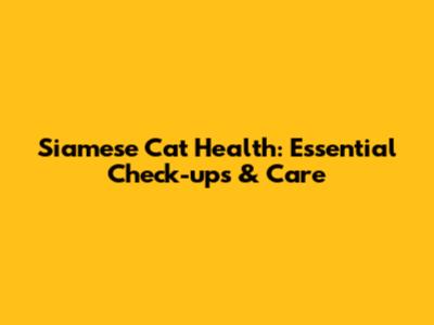 Siamese Cat Health: Essential Check-ups & Care