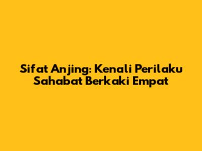 Sifat Anjing: Kenali Perilaku Sahabat Berkaki Empat