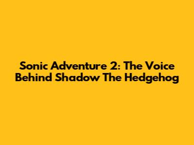 Sonic Adventure 2: The Voice Behind Shadow The Hedgehog