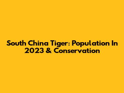 South China Tiger: Population In 2023 & Conservation