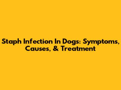 Staph Infection In Dogs: Symptoms, Causes, & Treatment