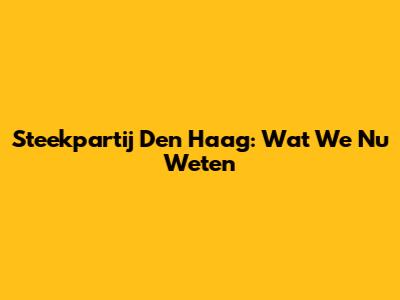 Steekpartij Den Haag: Wat We Nu Weten