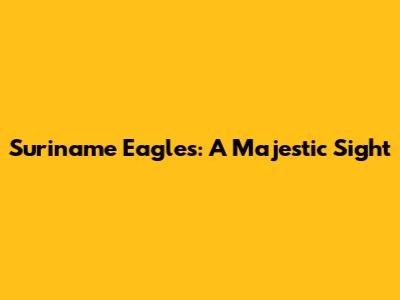 Suriname Eagles: A Majestic Sight