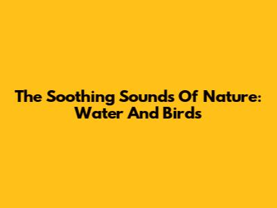 The Soothing Sounds Of Nature: Water And Birds