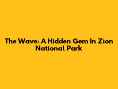 The Wave: A Hidden Gem In Zion National Park