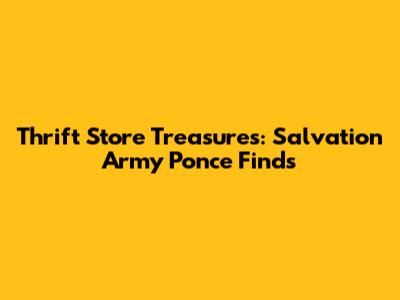 Thrift Store Treasures: Salvation Army Ponce Finds