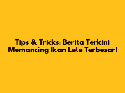 Tips & Tricks: Berita Terkini Memancing Ikan Lele Terbesar!