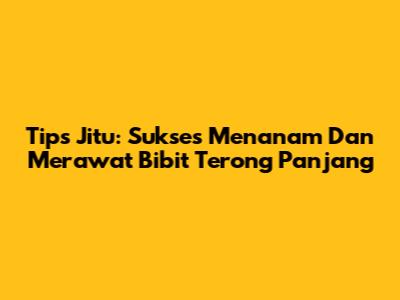 Tips Jitu: Sukses Menanam Dan Merawat Bibit Terong Panjang