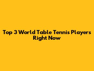 Top 3 World Table Tennis Players Right Now
