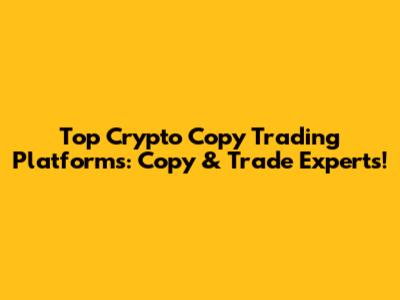Top Crypto Copy Trading Platforms: Copy & Trade Experts!