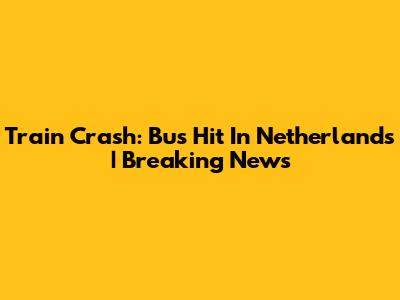 Train Crash: Bus Hit In Netherlands | Breaking News