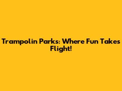 Trampolin Parks: Where Fun Takes Flight!