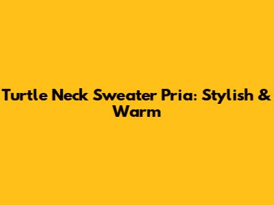 Turtle Neck Sweater Pria: Stylish & Warm