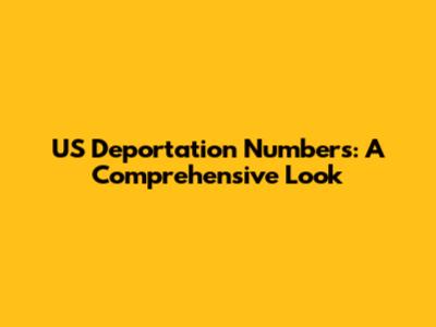 US Deportation Numbers: A Comprehensive Look