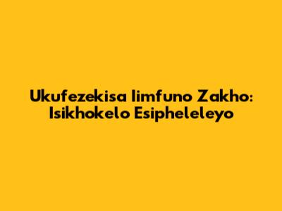 Ukufezekisa Iimfuno Zakho: Isikhokelo Esipheleleyo