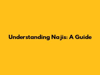 Understanding Najis: A Guide