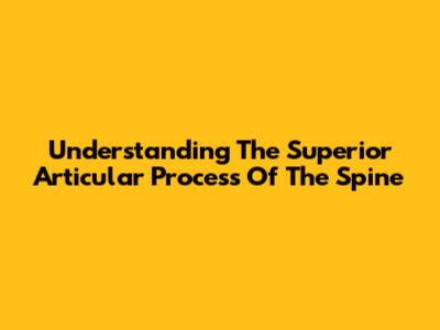 Understanding The Superior Articular Process Of The Spine