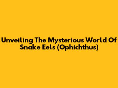 Unveiling The Mysterious World Of Snake Eels (Ophichthus)