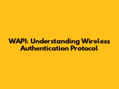 WAPI: Understanding Wireless Authentication Protocol