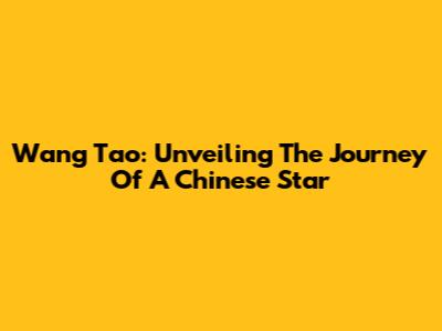 Wang Tao: Unveiling The Journey Of A Chinese Star
