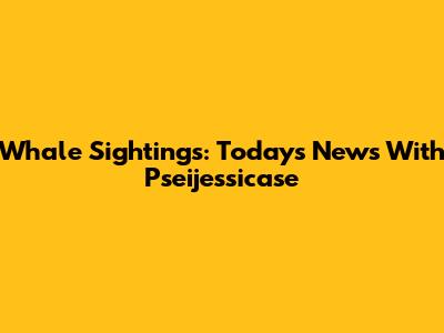 Whale Sightings: Today's News With Pseijessicase