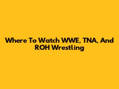 Where To Watch WWE, TNA, And ROH Wrestling