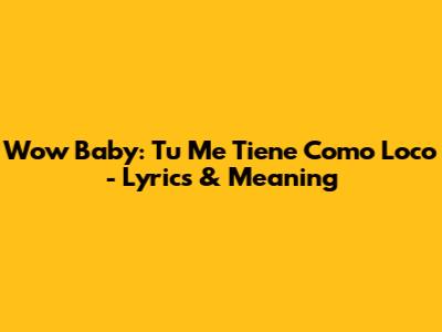 Wow Baby: Tu Me Tiene Como Loco - Lyrics & Meaning