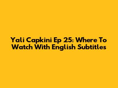 Yali Capkini Ep 25: Where To Watch With English Subtitles