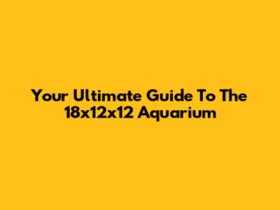 Your Ultimate Guide To The 18x12x12 Aquarium