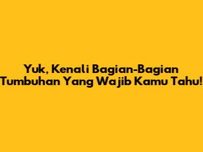 Yuk, Kenali Bagian-Bagian Tumbuhan Yang Wajib Kamu Tahu!