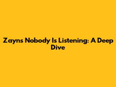 Zayn's "Nobody Is Listening": A Deep Dive
