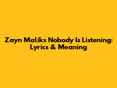Zayn Malik's Nobody Is Listening: Lyrics & Meaning